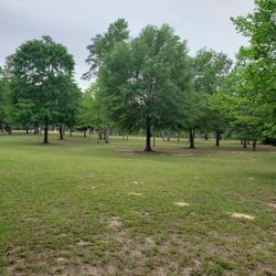 Some Off My Work I Can Beat Any One's Price 