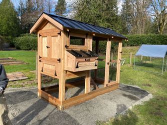 Walk - In Chicken Coop
