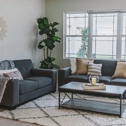 Gray Sofa Set