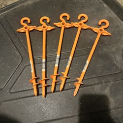 Coghlan’s Twist Anchor 