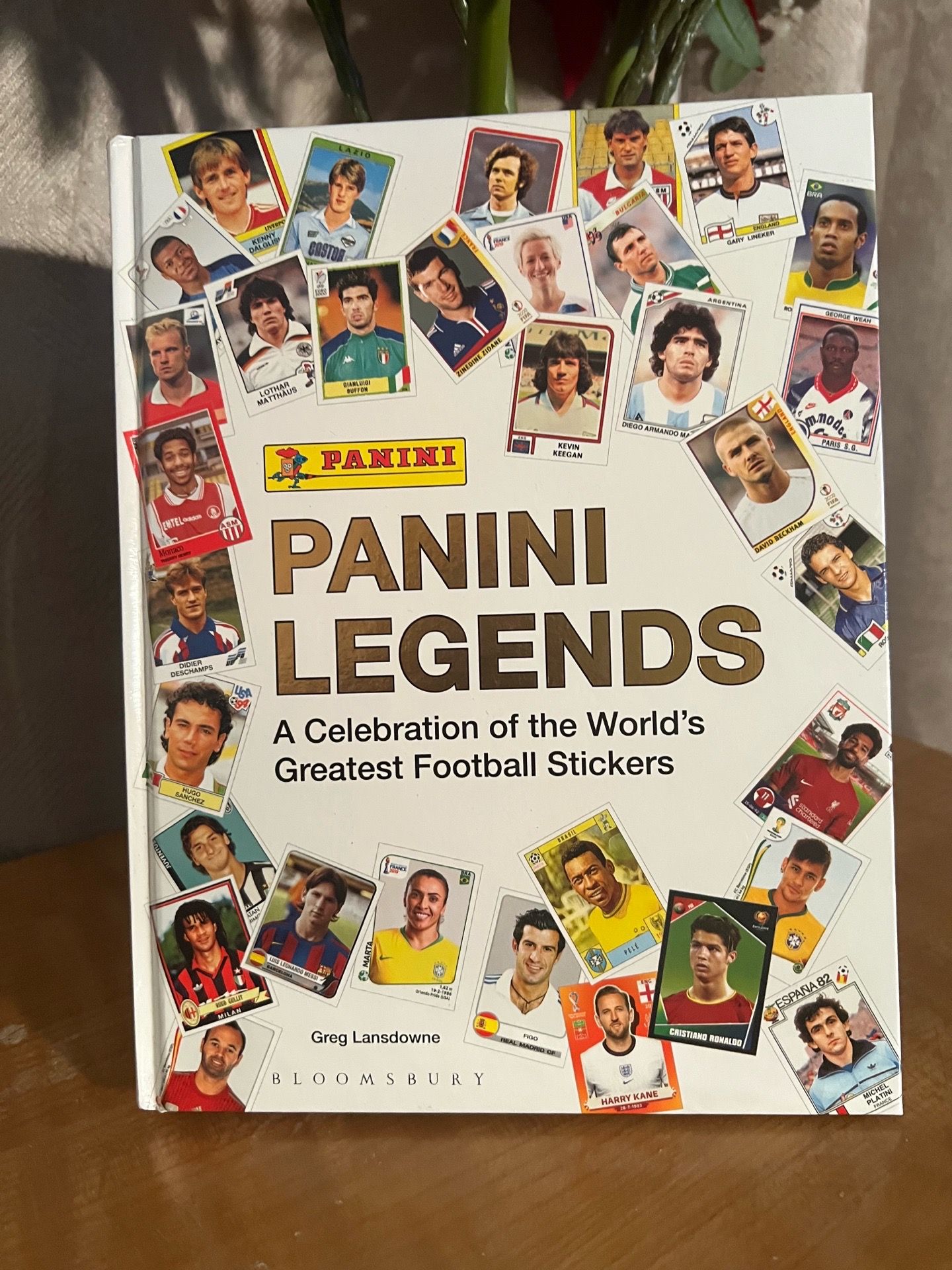 Panini World Cup Legends book