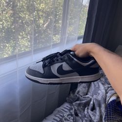 Nike Georgetown Dunks Size 9.5 