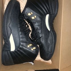 Jordan 12s The Master