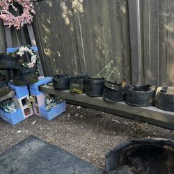 Grow Bags 
