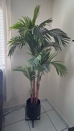 Plant