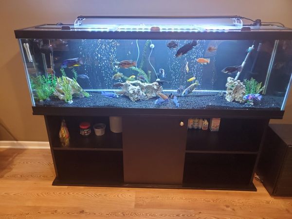 Aqueon 125 gal Aquirium with filter for Sale in Third Lake, IL - OfferUp