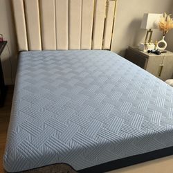 Bed Frame/mattress