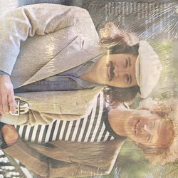 Simon And Garfunkel Greatest Hits Vinyl