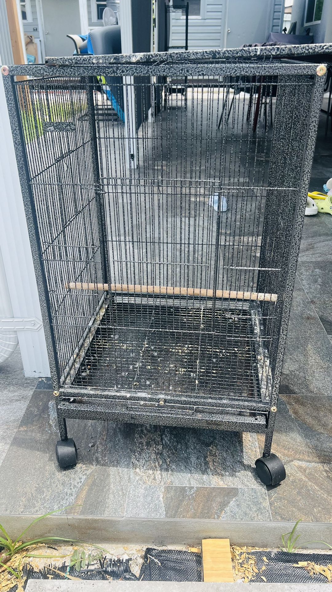 Bird Cage