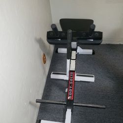 Body-Solid Seated Calf Machine