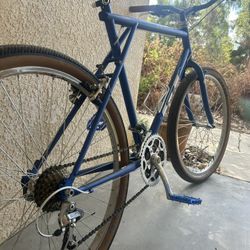 1990s GT Palomar Restomod