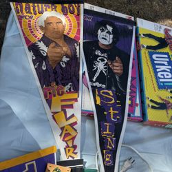 Vintage Sports And Wrestling Pennants 