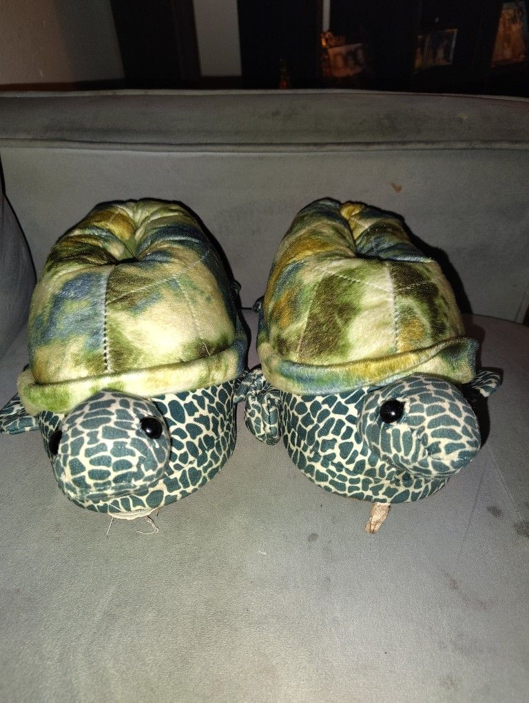 Turtle Slippers 