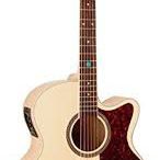 Sierra Tahoe Acoustic Guitar (Used)