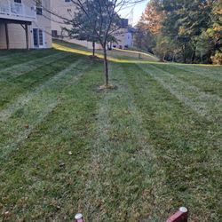 Lawn Cutting 