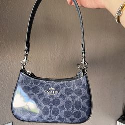 Coach Mini Teri