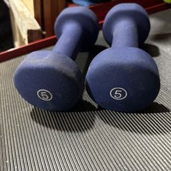 5lb Dumbbells 