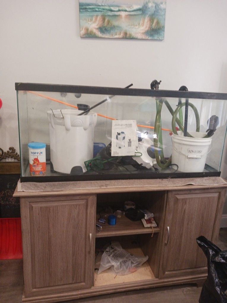 Fish Tank Everything Included 50 Gallon Tank $150 Or Best Offer
