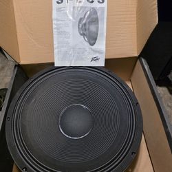 Black Widow Amplified Speakers (4)