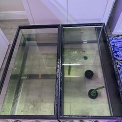 Fish Tank