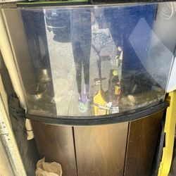 Salt Water Fish tank 