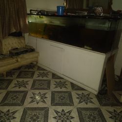 300 Gallon Fish Tank. With Stand  And Too Easy Maintenance Filters  . Extra Sums Extra Filter