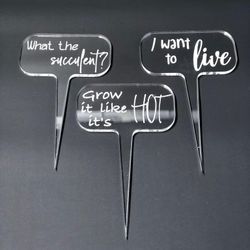 Succulent Plant Stakes