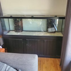 125 Gallon Back flow Aquarium 