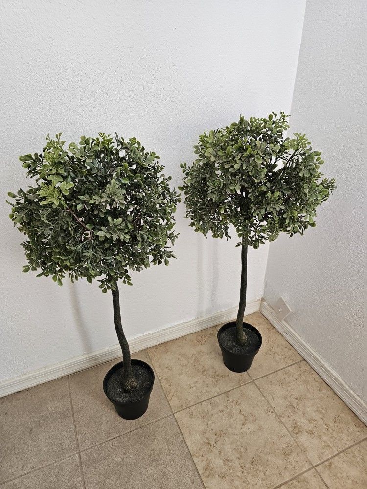 Fake Plants Set Of Two Size 36 Inch Tall $50 For Both