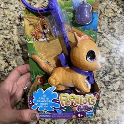 FurReAl Pee A Lots Orange 