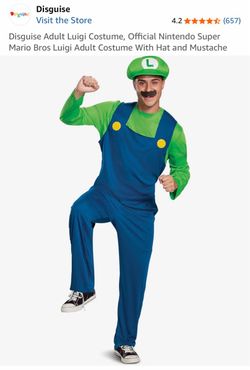 Adult Luigi Costume