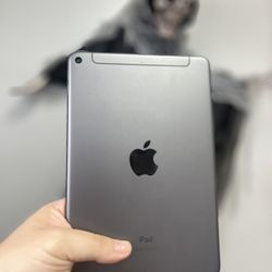 Ipad Mini 5 Wi-Fi 64 GB 