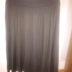 Beautiful Ladies LOFT Size Small Skirt
