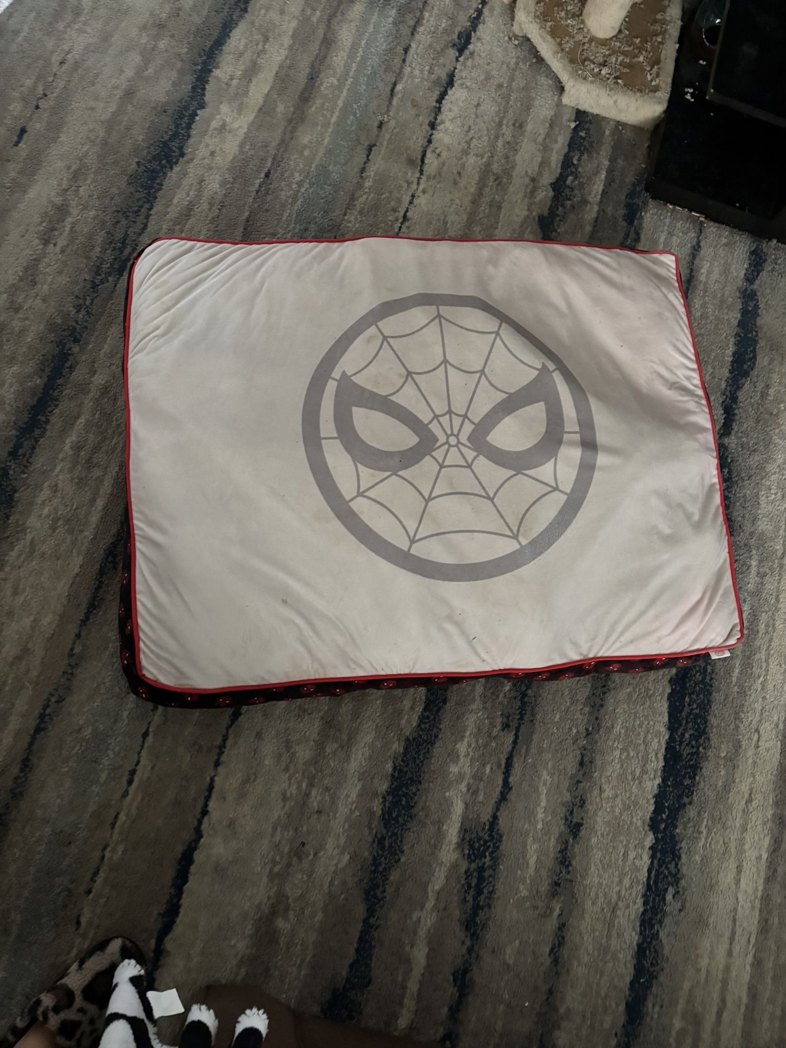 Large Dog Bed