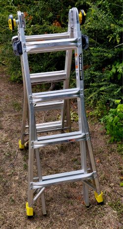 Gorilla Ladder