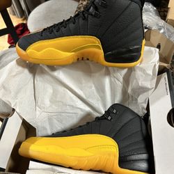 Air Jordan 12 Retro New