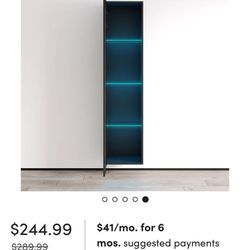 Crister Floating Storage Bookcase