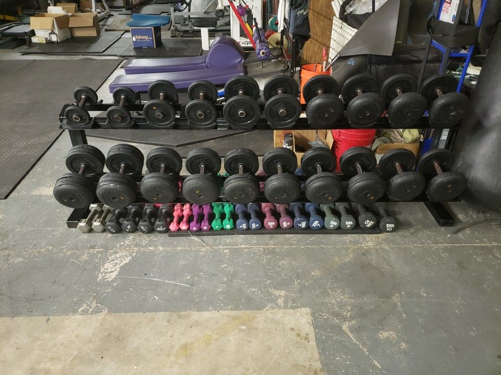 Troy Rubber Encased Pro Dumbbells 5-50 lb Set With FLEX Fitness Pro Dumbbell Rack