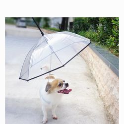 Dog Umbrella With Leash / Pet Umbrella