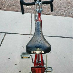 Schwinn Bike 