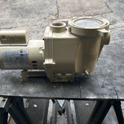 Pool Pump Pentair 1.25 HP