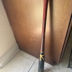 Tati’s Victus 23 Maple Wood Bat 