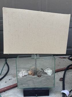 Glass Box Table Lamp with Seashells