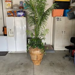Faux Palm Tree 