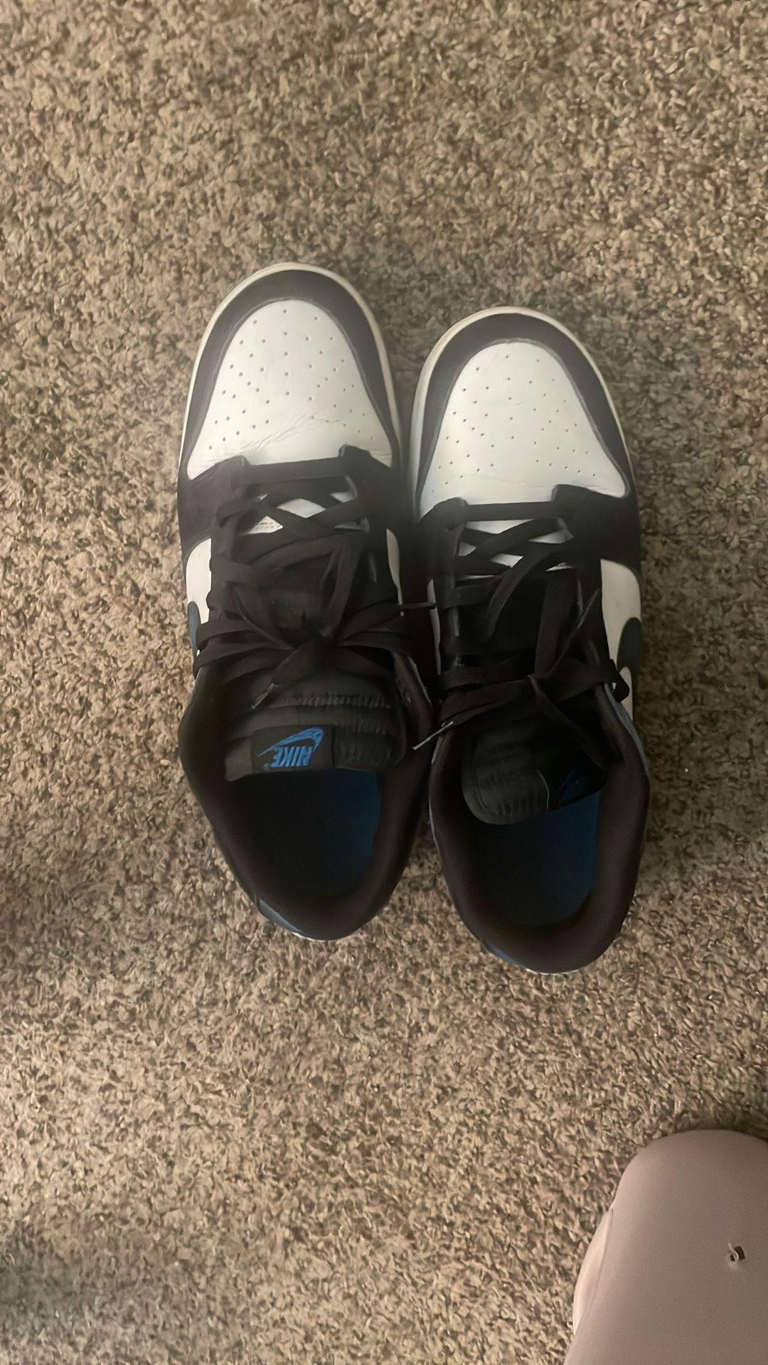 Nike Dunks Low Industrial Blue