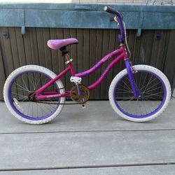 20 Inch Girls Bike