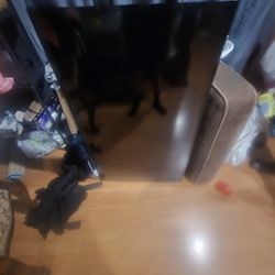 44 Inch Vizio Flat Screen 60 Or Best Offer No Prob