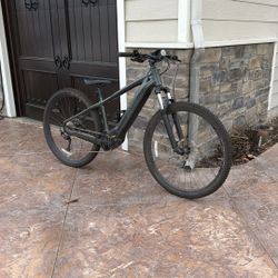 2025 Electric Specialized Mountain Bike