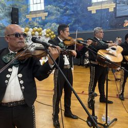 Vihuela Micrófono De Mariachi 