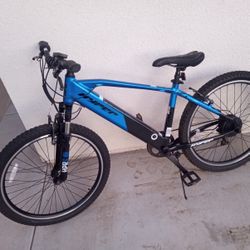 Electric Bike